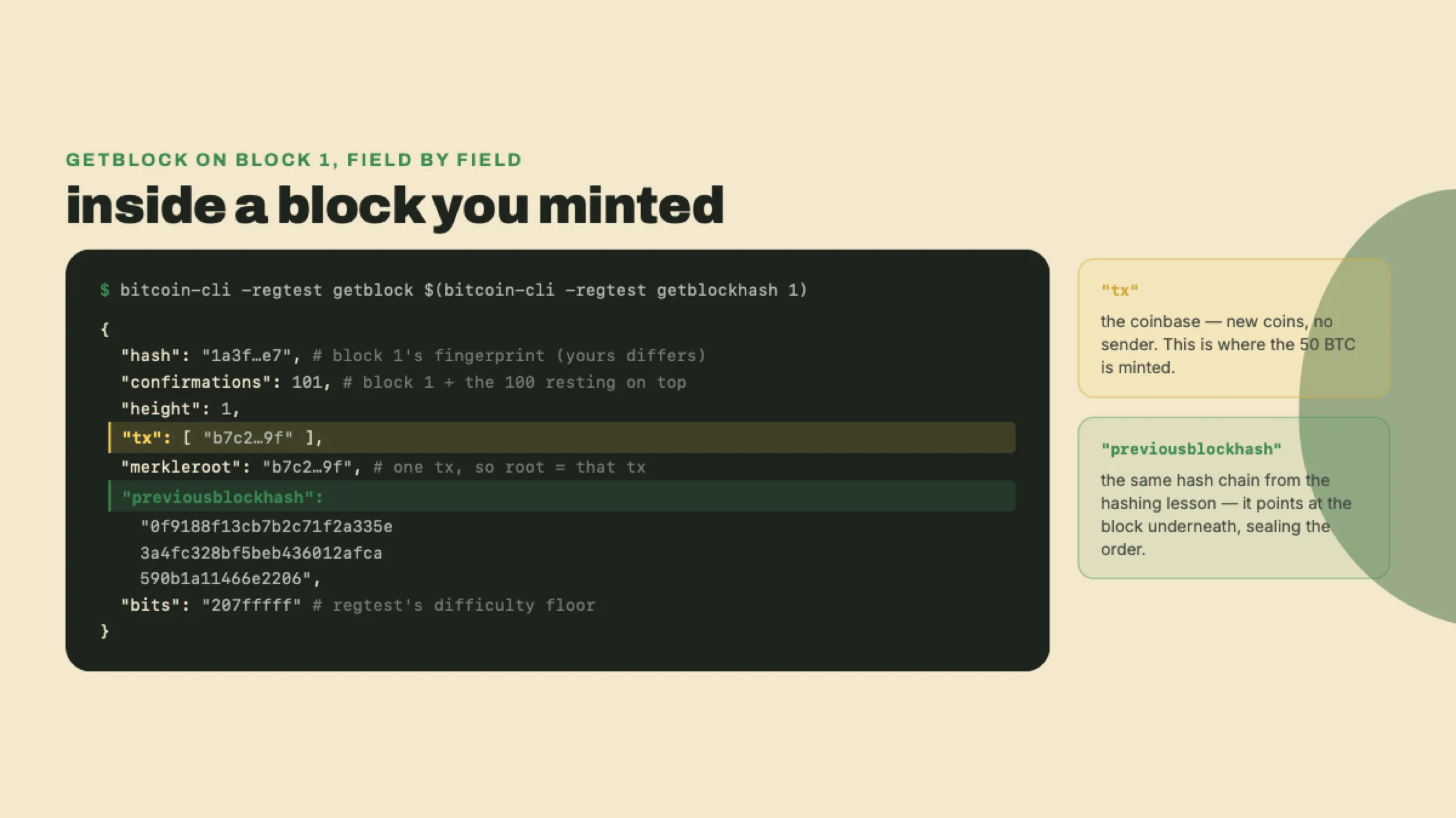 getblock output for block 1 showing previousblockhash pointing at the genesis hash, a single coinbase transaction, the merkleroot equal to that transaction, and the regtest difficulty bits.