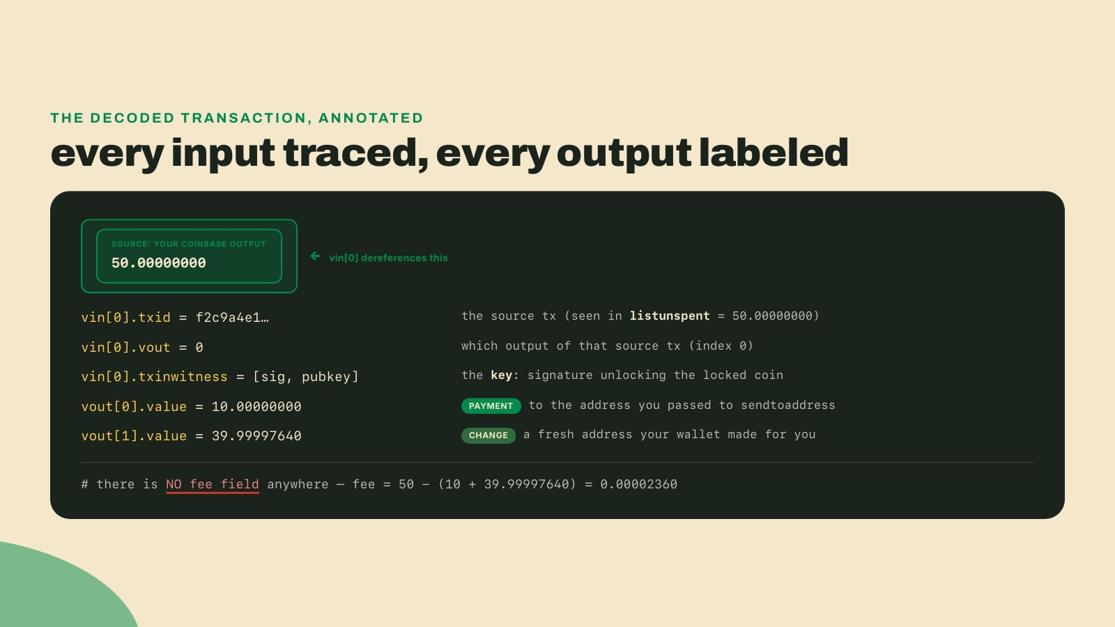 The decoded transaction annotated so the input traces to the 50 BTC coinbase source, the two outputs are tagged payment and change, and the fee is shown as the gap with no field of its own.