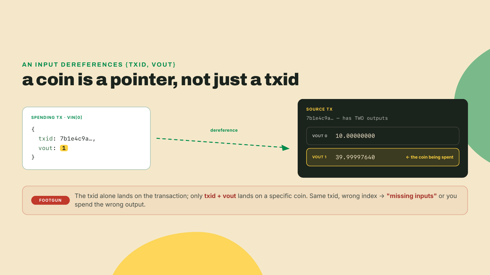 A transaction input holds a txid plus a vout index that together point at one specific output among several the source transaction created, so the index is not optional.