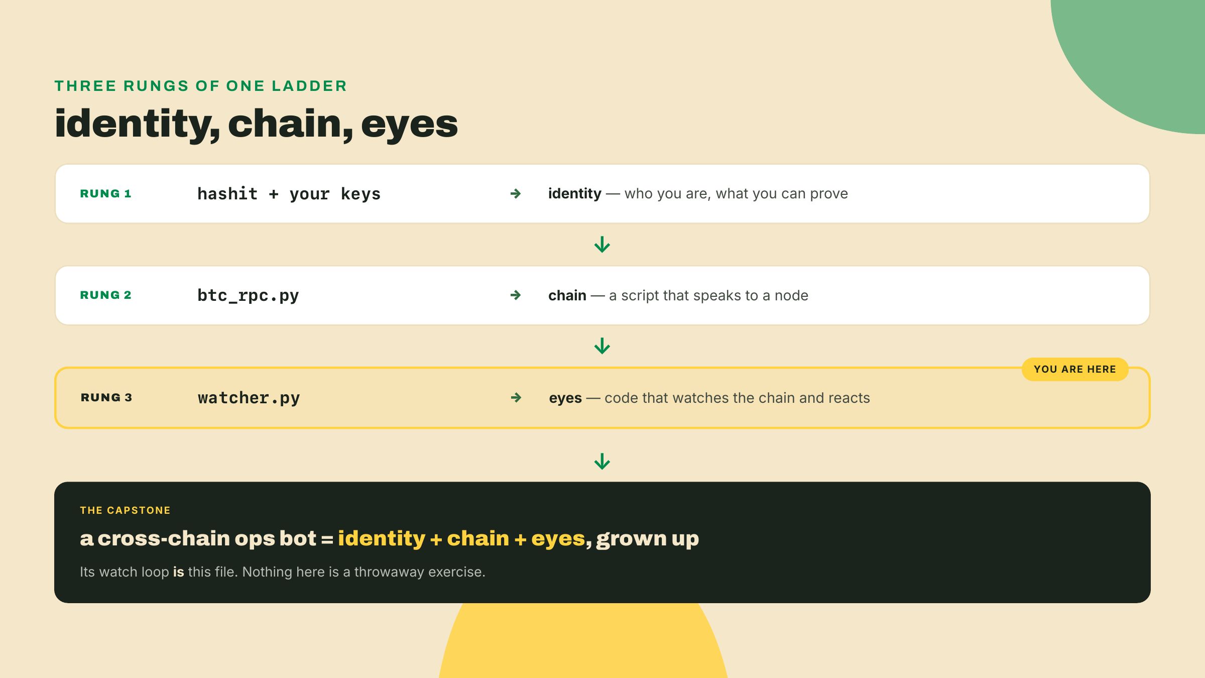 A three-rung ladder (identity, chain, eyes) feeding into the capstone bot, with the watcher on rung three marked as the current lesson.