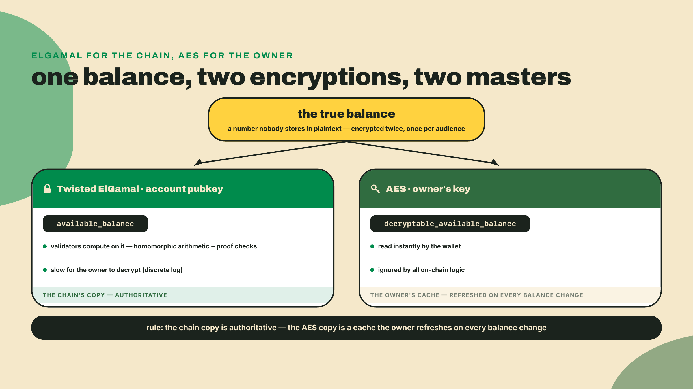 Diagrama que divide un saldo oculto en dos ciphertexts almacenados, una copia ElGamal sobre la que la blockchain calcula pero que los dueños descifran lentamente, y una copia AES que los dueños leen al instante.