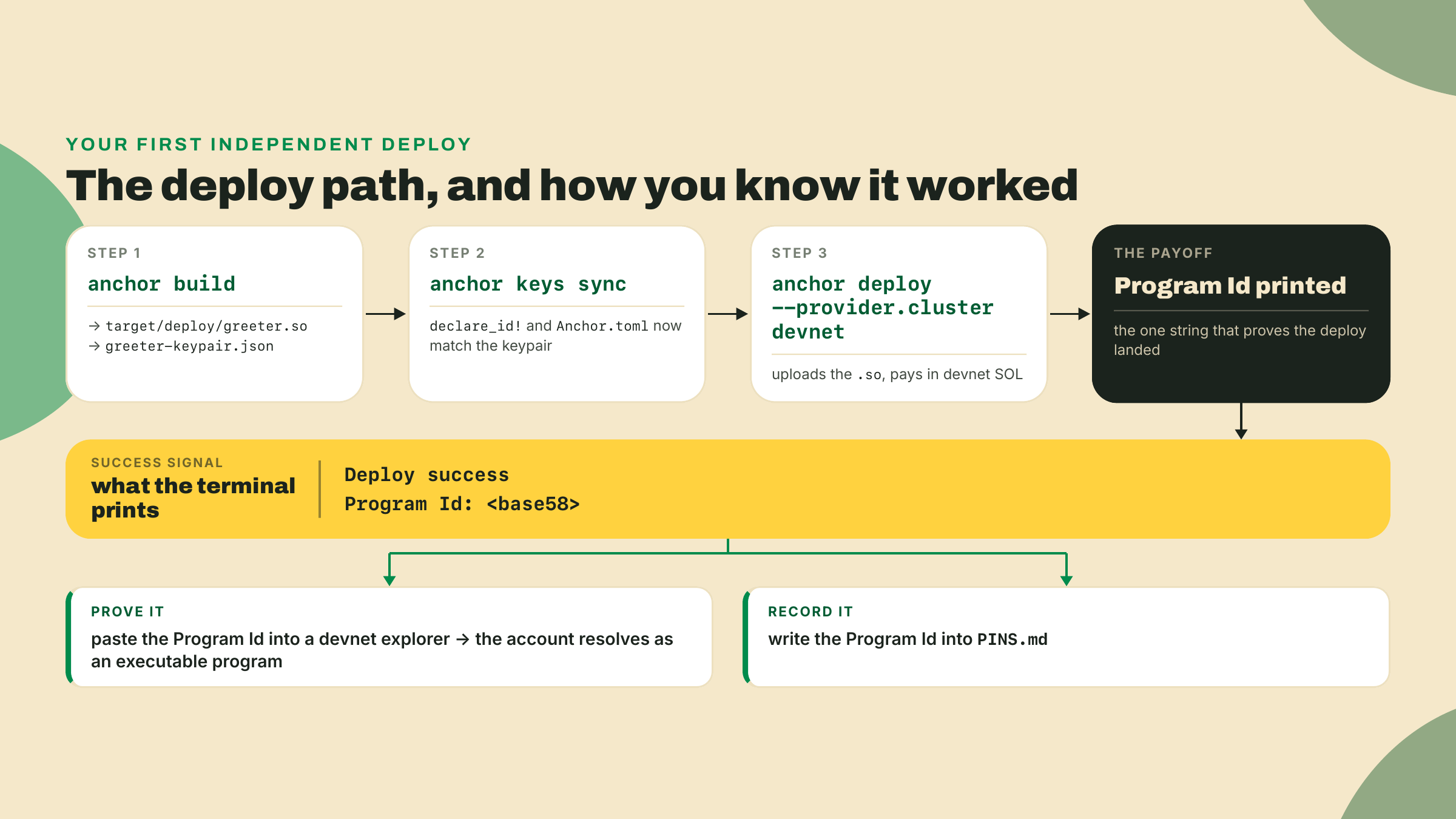 O build emite o .so, o keys sync alinha os program ids, o deploy imprime um Program Id, e um explorador de devnet confirma que ele resolve como executável.