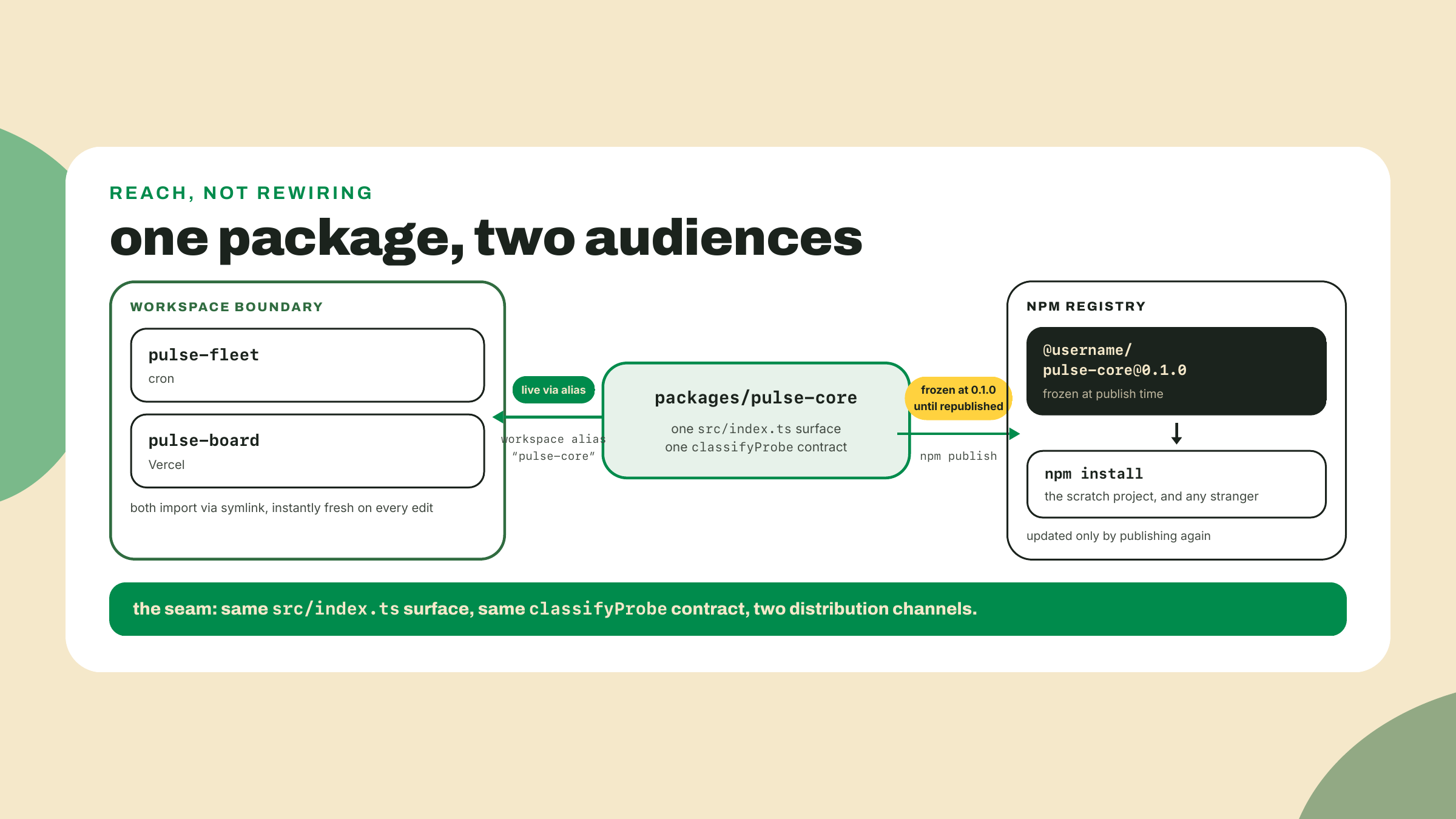 The same package reaches workspace consumers live through a symlink while strangers receive the frozen registry copy published to npm.