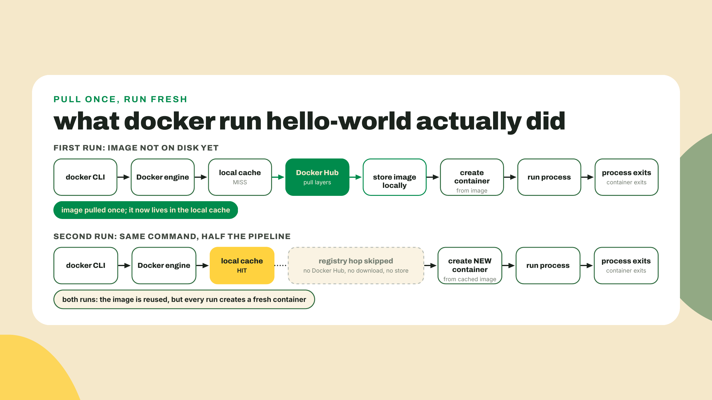 El primer docker run le hace pull a la imagen desde el registro y la cachea, mientras la segunda corrida reusa la imagen cacheada y solo crea un contenedor nuevo.
